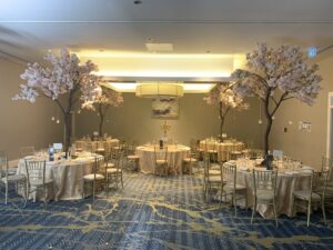 RECEPTION DECOR & MANDAP SERVICES IN LONDON UK 5