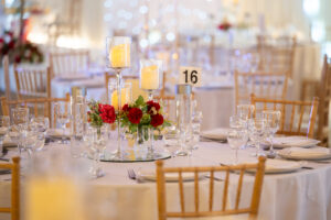 Varying height T light holder